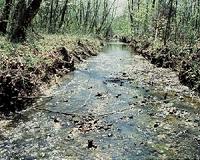 A new analysis and approach to watershed management