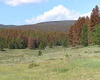 Conservation Strategies Must Shift With Global Environmental Change