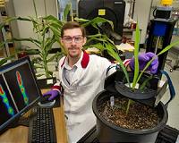 Tracking Sugar Movement in Plants