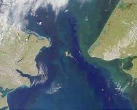 Whales, ships more common through Bering Strait