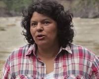 US joins Honduran probe of environmentalist's murder