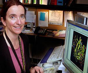Research deciphers HIV attack plan