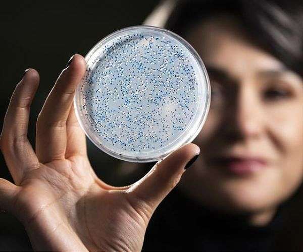 Ancient nitrogen enzyme study illuminates early Earth conditions and life detection