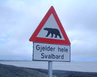 US lists polar bears as threatened