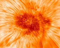 New Solar Telescope Unveils Complex Dynamics of Sunspots' Dark Cores