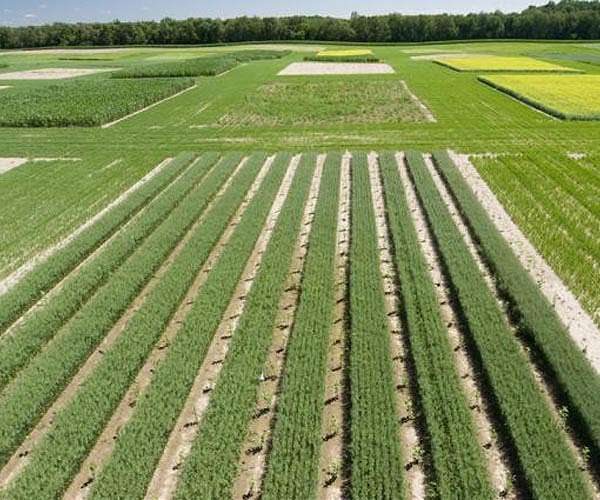 Satellite remote sensing integration with Jain Logic makes growers more productive