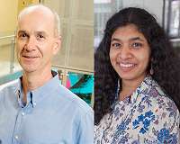 A new tool for genetically engineering the oldest branch of life