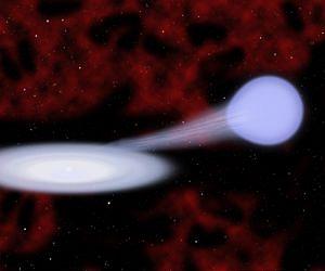 Music of the Spheres: Star Songs