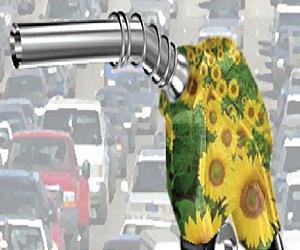 Environmental benefit of biofuels is overestimated, new study claims