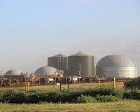 From dung to BMWs at green energy plant in South Africa
