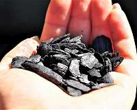 Feds, states can help biochar live up to its soil-saving potential