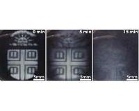 Researchers develop 3-D-printed biomaterials that degrade on demand