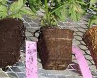 Determining biocontainers' carbon footprint