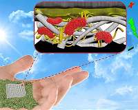 Scientists create biodegradable, paper-based biobatteries