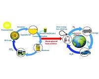 From a by-product of the biodiesel industry to a valuable chemical