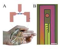 Two steps closer to flexible, powerful, fast bioelectronic devices