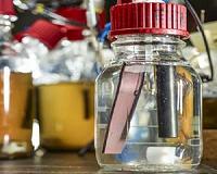 Bioelectrochemical processes have the potential to one day replace petrochemistry