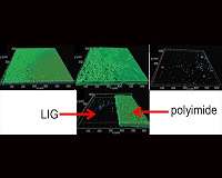 Laser-induced graphene kills bacteria, resists biofouling
