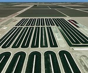 Algae Biomass Organization hails new UCSD study showing saltwater algae viable for biofuels