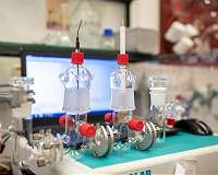 A protective shield for sensitive enzymes in biofuel cells