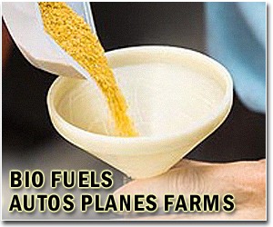 Lufthansa wraps up biofuel test on German flights