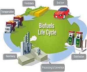 Current Biofuels Policies Are Unethical