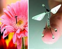 Nature inspires drones of the future