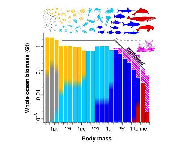 Humans guilty of breaking an oceanic law of nature