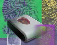 Canada in ID fraud fight, U.S. to follow