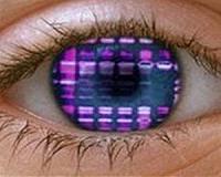 As hacking grows, biometric security gains momentum