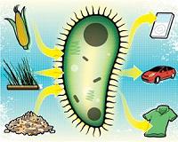 More bioplastics do not necessarily contribute to better outcomes