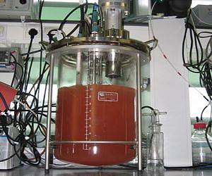 The nitrogen puzzle in the oceans