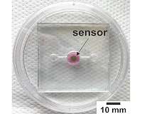 Biosensor allows real-time oxygen monitoring for 'organs-on-a-chip'