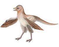Dino discovery may explain why birds have beaks