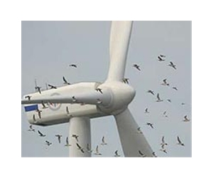 Bird strike prevention radar system takes off