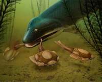 Bite marks in fossils reveal demise of our early relatives