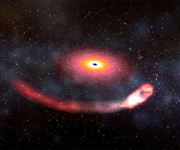 Black hole-neutron star collisions may help settle dispute over Universe's expansion