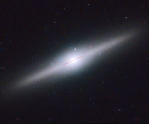 Star Cluster Surrounds Wayward Black Hole in Cannibal Galaxy