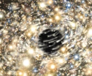 Record Massive Black Holes in Monster Galaxies