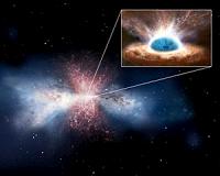 Black hole winds pull the plug on star formation