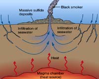 Discovery Provides Key Evidence Of Life's Beginnings