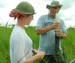 Study reveals potent carbon-storage potential of manmade wetlands