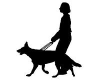 Echolocation acts as supplemental sense for the blind