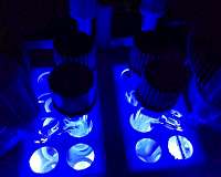 Chemists use light to build biologically active compounds