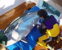 New Tracking Tags Helping With Management Depressed Fisheries