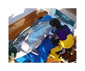 Clashing with Japan, US seeks to protect tuna