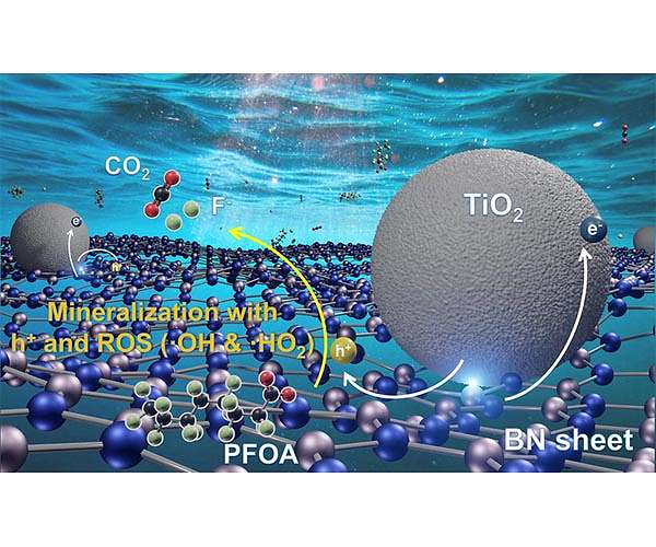 Rice improves catalyst that destroys 'forever chemicals' with sunlight