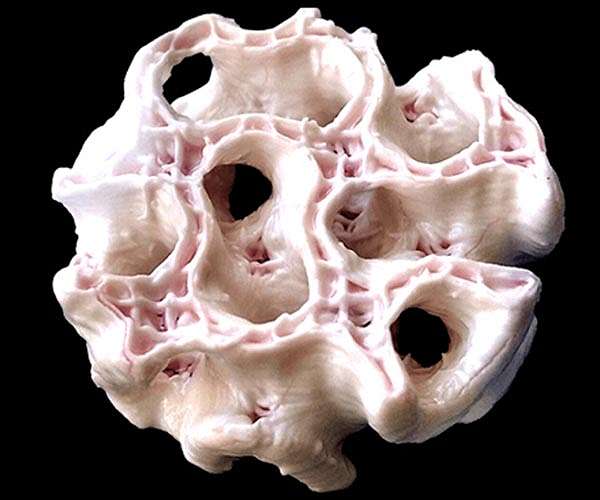 3D-printed bone