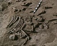 A taste for fat may have made us human