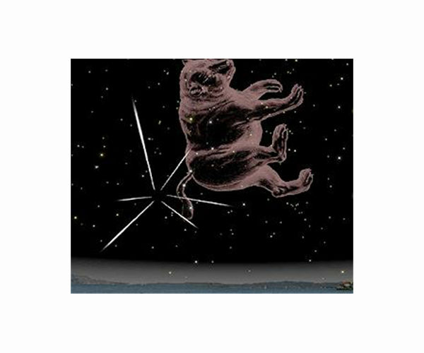 Quadrantid Meteor Shower offers 'perfect New Year treat'